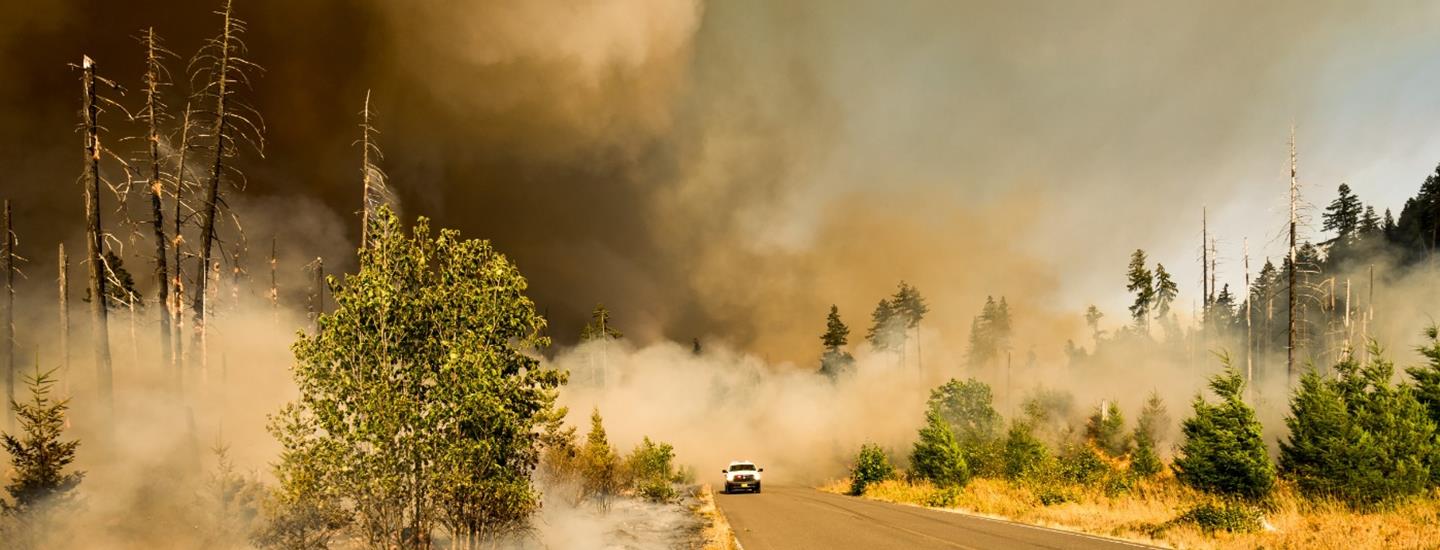 eHealth Viewer Helps Wildfire Evacuees Eliminate Uncertainty
